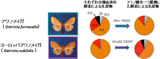 蛾類の種ごとの性フェロモンの違いはほんのわずかな差で決まる - 東大など