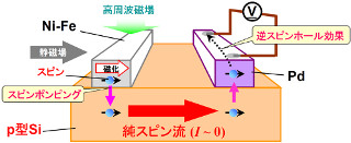 阪大など、p型Si中の室温スピン輸送を実現 - Siスピン素子の創出に道