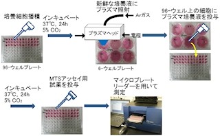 名大など、独自開発のプラズマ源を用いた新たながん治療法を開発