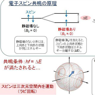 東北大学とNTT、磁場を使わず電子スピンの向きを任意に変える世界初の発見