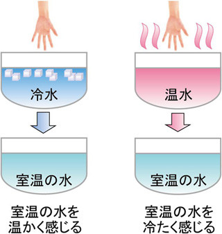 生理研など、人が周囲の温度で暑さ寒さを感じる度合が変化する仕組みを解明