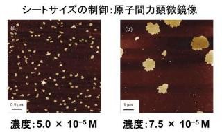 NIMSなど、厚さ3.5nmのチオフェンナノシートを合成