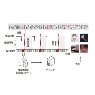 ATR、睡眠中に見ている夢の内容を解読する技術を開発