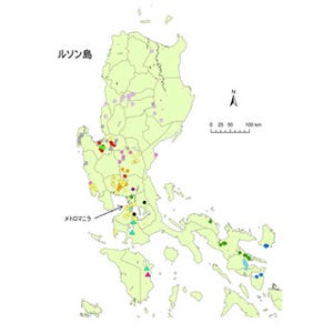 東北大、フィリピンにおける狂犬病ウイルスの伝播状況を解明