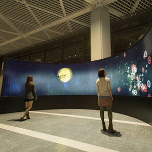 成田空港、約385インチの有機ELを用いたチームラボのデジタルアートを展示