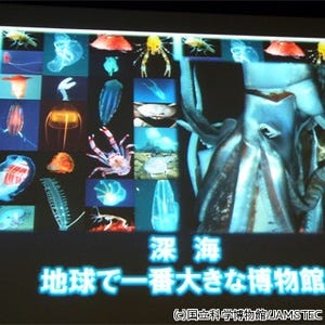 伝説のダイオウイカをその目で見よう - 科博が特別展「深海」の概要を公開