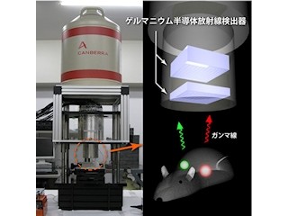 理研、複数種の放射性薬剤を同時に可視化する「GREI-II」を開発