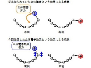 分子機械作りに1歩前進 - IMS、置換基が内向きのバッキーボウルを発見