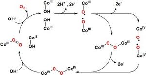 九大、人工光合成にも応用可能な酸素発生の高活性触媒を開発