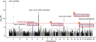 理研など、アトピー性皮膚炎の発症に関連する4つのゲノム領域を発見