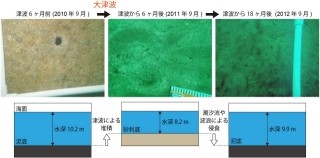 大津波で激変した三陸沖の海底環境は回復し出したところも - AORIが確認