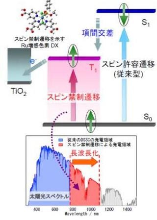 東大、スピン反転励起が可能な新色素DXで有機系太陽電池の広帯域化を実現