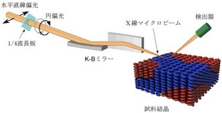 理研など、放射光X線を利用したキラル物質の可視化技術を開発