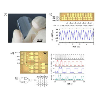 名大など、カーボンナノチューブのみで集積回路を実現