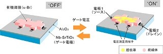 IMSなど、フレキデバイス実現に弾み - 有機物に電圧を加えて超伝導を実現