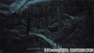 キヤノン、動画撮影専用CMOSセンサを用いてヤエヤマヒメボタルの撮影に成功