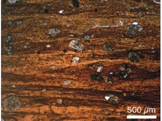 2億1500万年前の衝突は直径が最大で8km弱の超巨大隕石だった - 九大など