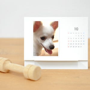 TOLOT、1部500円の写真入りカレンダー作成サービス「TOLOTカレンダー」開始