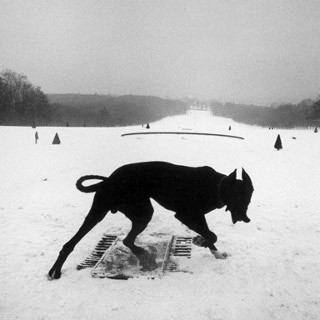 東京都・竹橋で"プラハの春"を撮影した写真家ジョセフ・クーデルカの回顧展