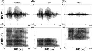 自分の声を認識するには「フォルマント」の影響が大きい - 首都大