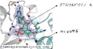 JST、微生物に含まれる水素変換酵素の仕組みを解明することに成功