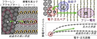 東北大、有機薄膜太陽電池の電荷損失を防ぐ要因を理論的に解明