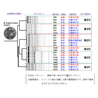 母親の腸管内のビフィズス菌は新生児に受け継がれる - ヤクルトが確認