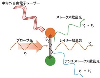 京大、中赤外レーザを用いた格子振動の選択励起を直接観測