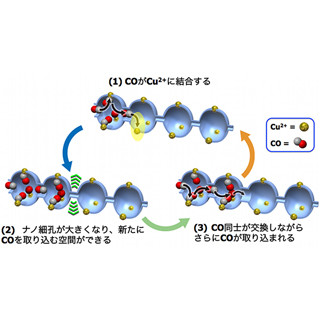 京大、排ガスから一酸化炭素を高選択的に分離・回収できる多孔性材料を開発