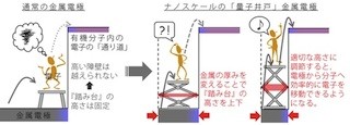 千葉大、量子サイズ効果を利用し有機分子と金属電極を繋ぐ"踏み台"を発見