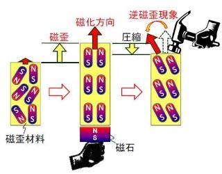 弘前大など、量産加工性に優れた鉄基の磁歪材料を開発