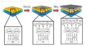 NIMS、ナノテクにより可視光でも活性化できる光触媒材料を開発