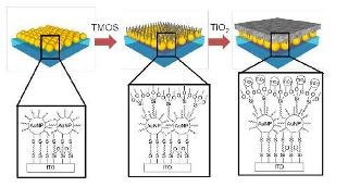 NIMS、ナノテクにより可視光でも活性化できる光触媒材料を開発