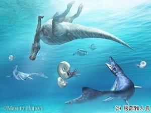 北大など、2013年7月発表のハドロサウルス科恐竜の化石をさらに発掘