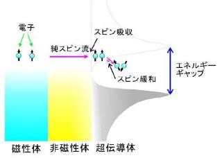 東大、超伝導体へのスピン注入に成功 - スピン情報保持時間の増大を実証