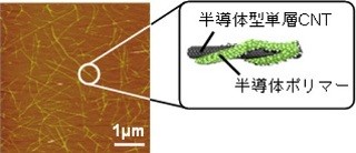 東レ、移動度13cm2/Vs、オンオフ比10の6乗の単層CNT薄膜トランジスタを開発