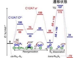 東工大、Ruを担持した「C12A7:e-」が触媒活性に威力を発揮する仕組みを解明