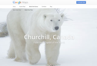 Google、ホッキョクグマが集まる町のストリートビューを公開