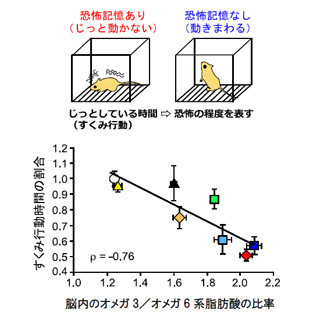 オメガ3系を多く、オメガ6系を少なく摂取すると恐怖記憶は和らぐ - NCNP