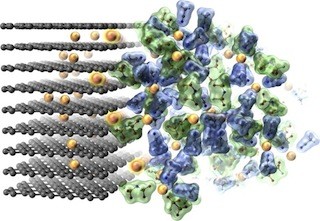 東大、超高濃度のリチウムイオンを含む"濃い液体"の新機能を発見