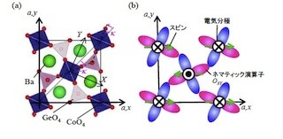東大、マルチフェロイック物質におけるスピンネマティック相互作用を観測