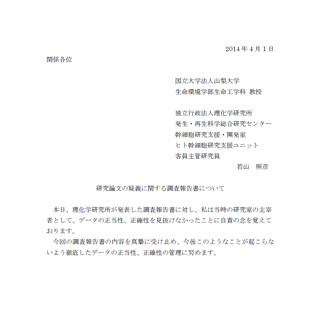 正当性