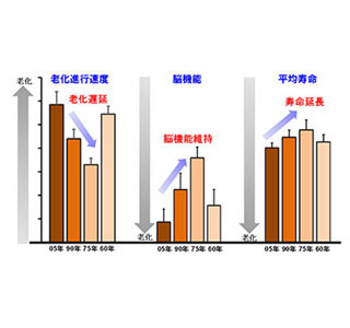 和食は1975年ごろが最も健康的