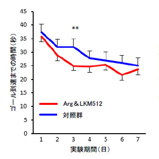 ビフィズス菌とアミノ酸を併せて摂取すると寿命が延びる!? -協同乳業が確認