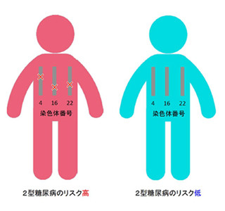 糖尿病患者に頻度高いゲノム異常発見