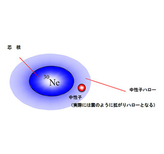 中性子が多い原子核の特異構造を解明