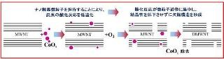 東工大、燃料電池などに応用可能な多層CNTの高い触媒活性を発見