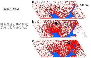 東北大と理研、電子の蓄積とその集団的運動の可視化に成功