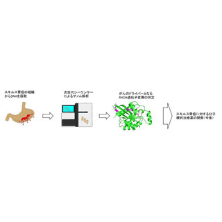 東大とTMDU、びまん性胃がんの創薬標的候補となる活性化遺伝子変異を同定