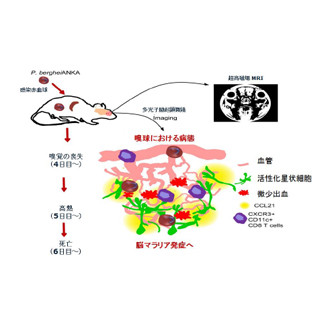 最愛 index.jpg 医学一般